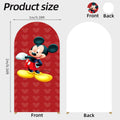 6.6FT Mickey & Minnie Arch Backdrop Cover – Girls Party Decor (DRAFT – IP REVIEW)