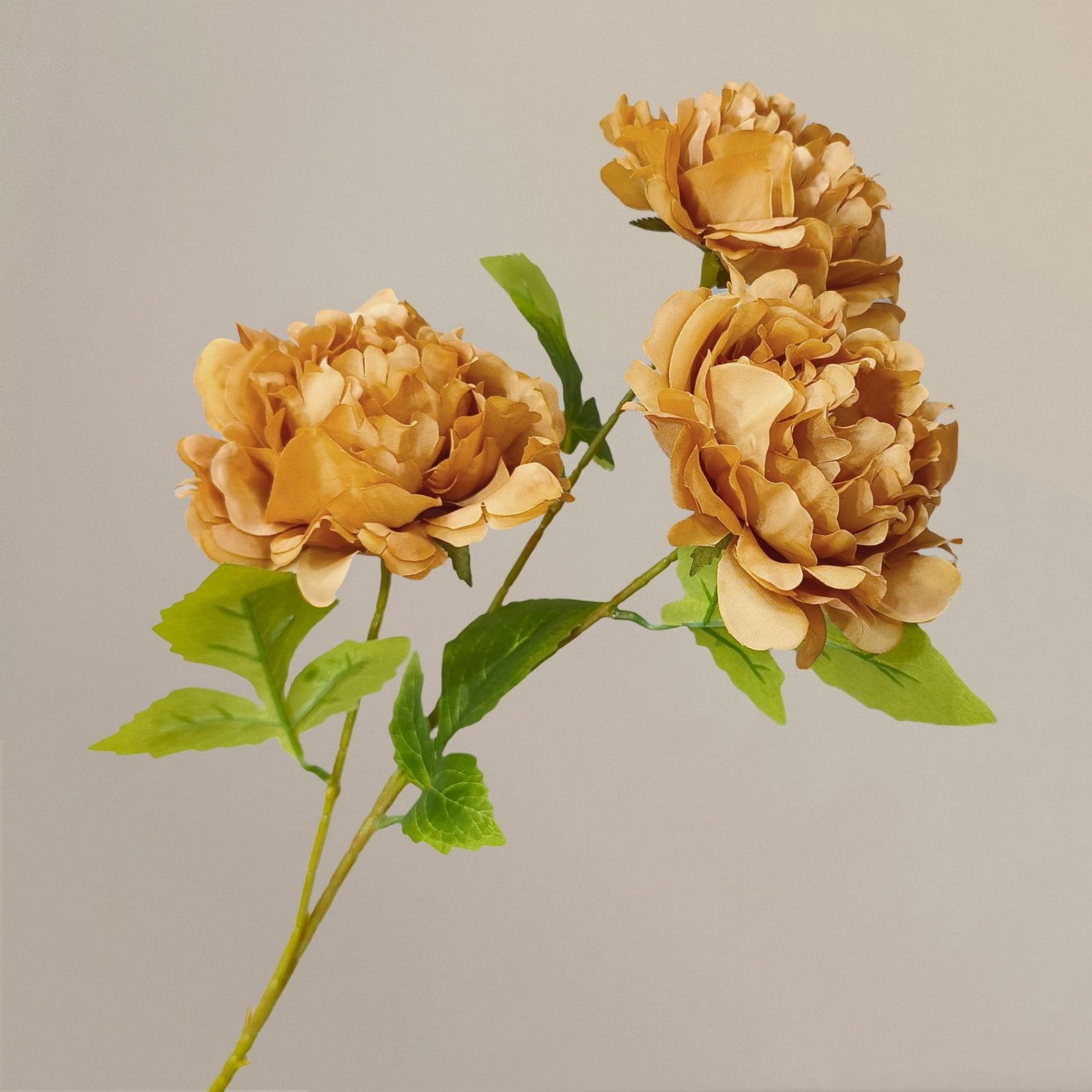 Coffee Brown Chinese Style Peony Artificial Flower Stem – 84cm – Faux Event Decor