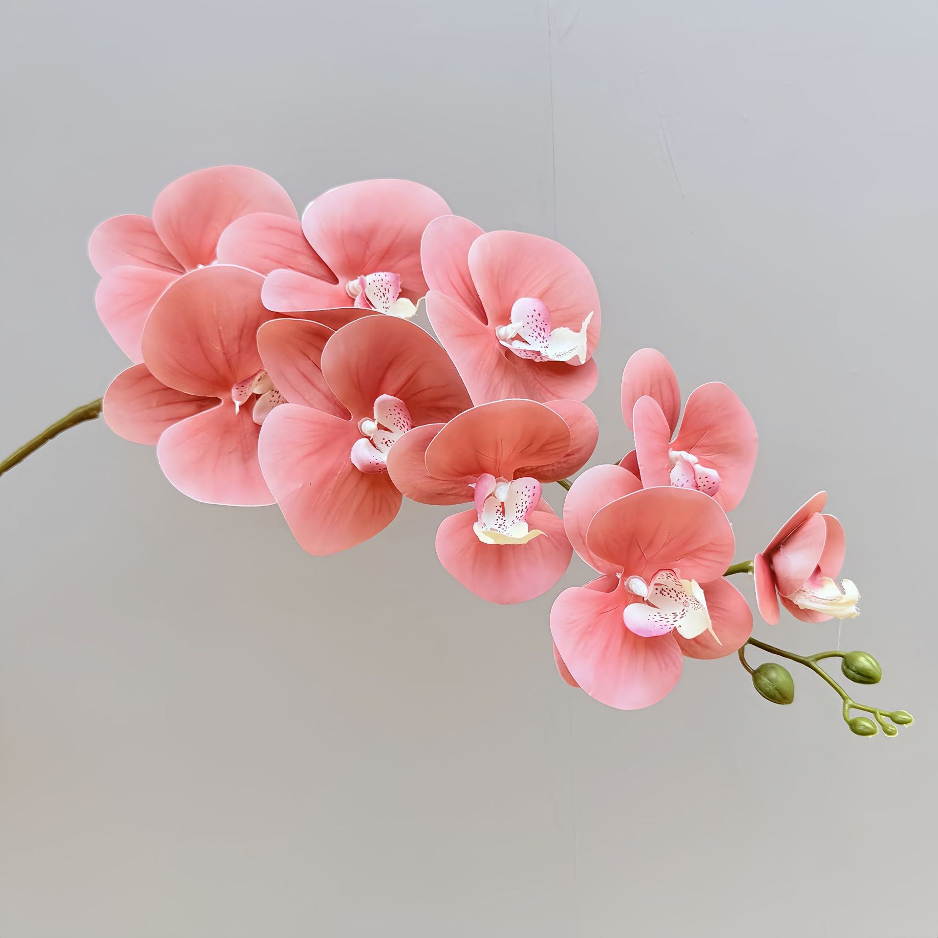 Luxury Realistic Orchid for Wedding & Event Decoration - 97CM Silk Flowers
