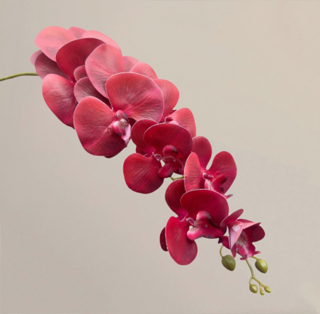 Luxury Realistic Orchid for Wedding & Event Decoration - 97CM Silk Flowers