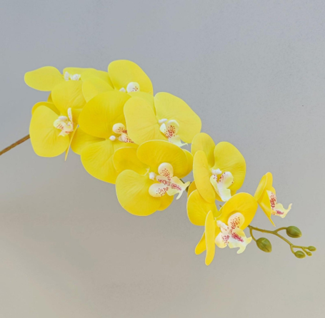 Luxury Realistic Orchid for Wedding & Event Decoration - 97CM Silk Flowers