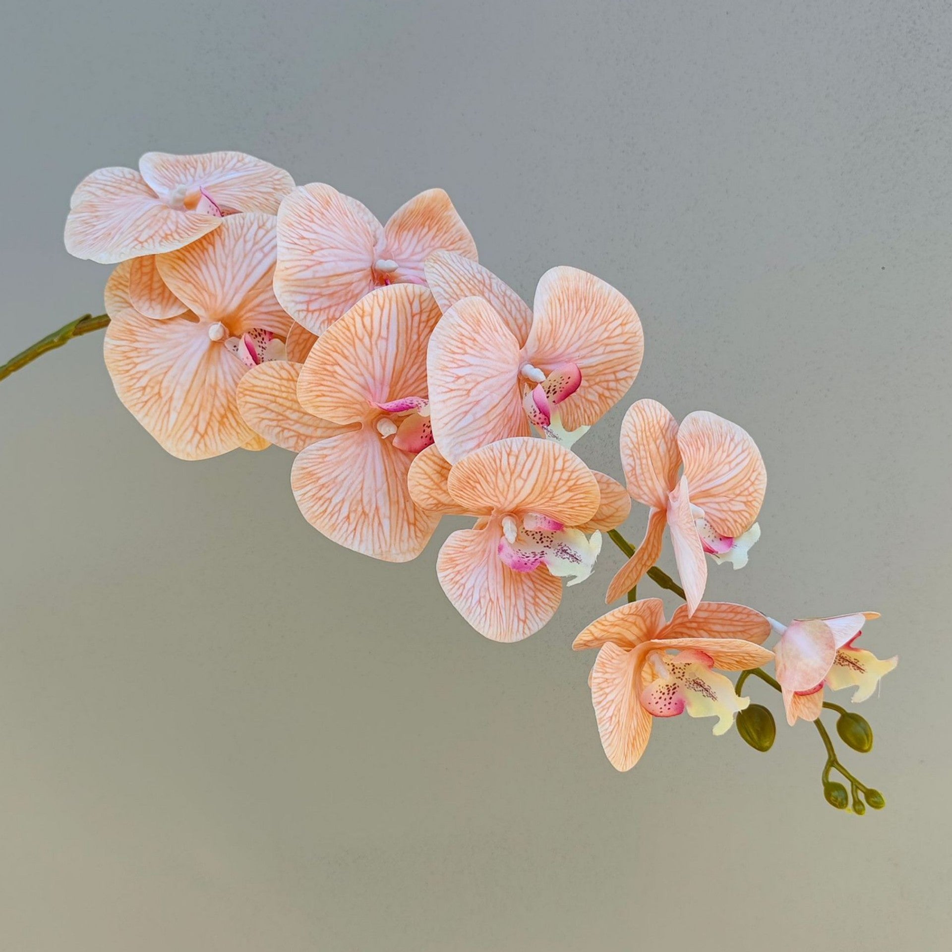 Luxury Realistic Orchid for Wedding & Event Decoration - 97CM Silk Flowers