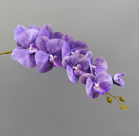 Luxury Realistic Orchid for Wedding & Event Decoration - 97CM Silk Flowers