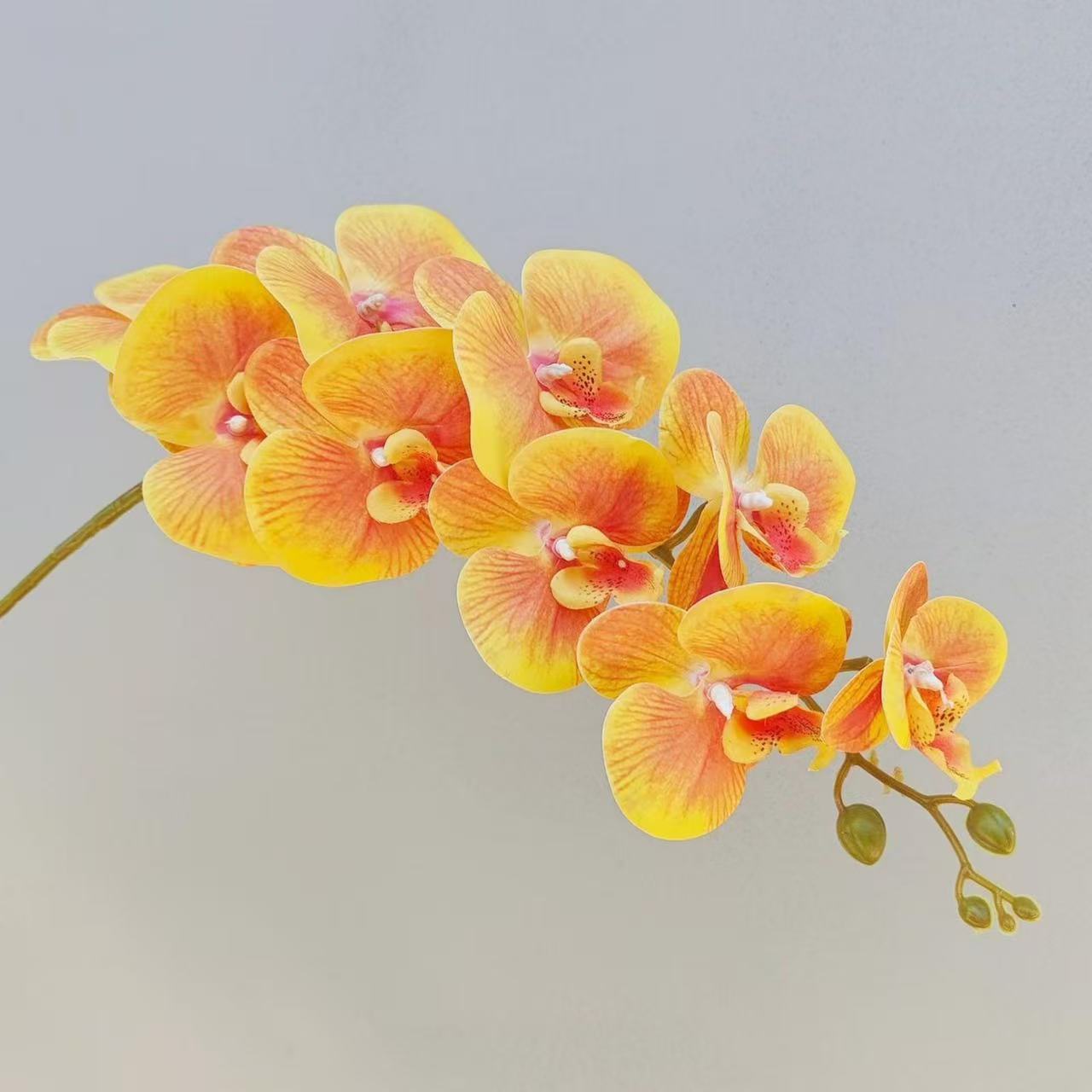Luxury Realistic Orchid for Wedding & Event Decoration - 97CM Silk Flowers